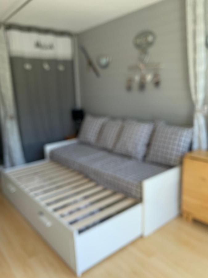 Avec Balcon, Au Pied Des Pistes Et Randos Leilighet Villard-de-Lans Eksteriør bilde